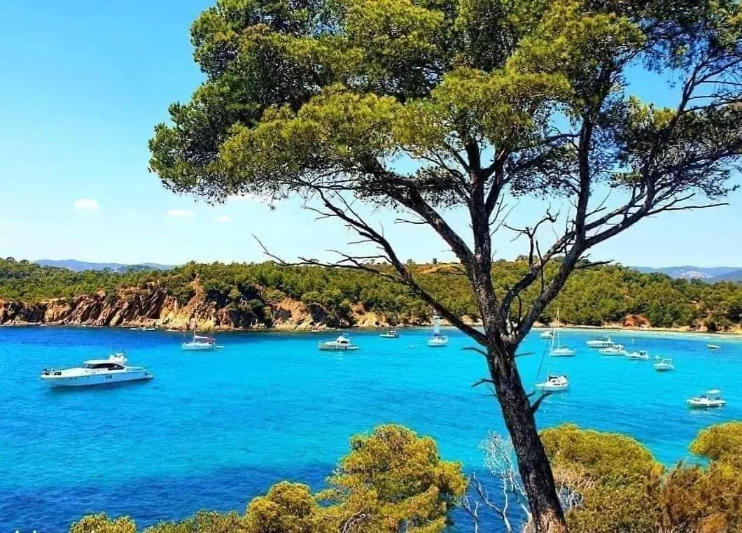 Horizon 5 Pied Dans L'Eau Apartment Le Lavandou