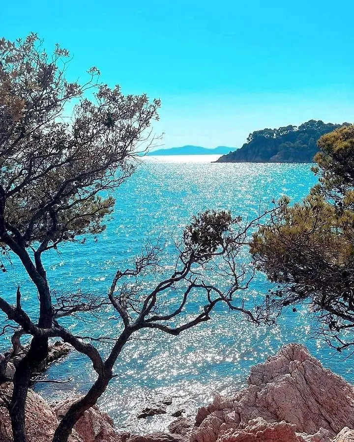 Horizon 5 Pied Dans L'Eau Apartment Le Lavandou